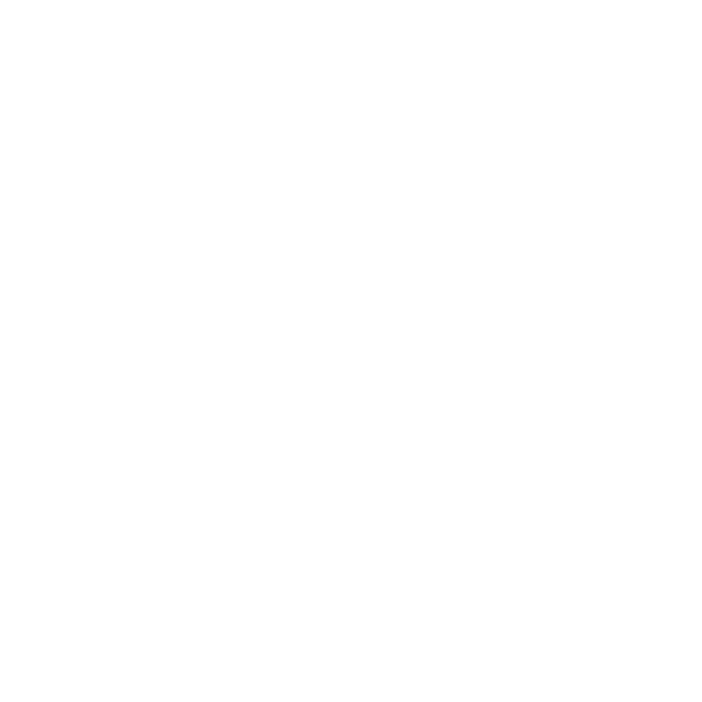 Studemia logo